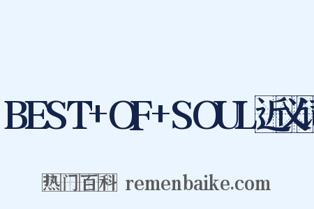 BEST+OF+SOUL近义词是什么意思的图片